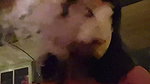 Godf__5_(3)