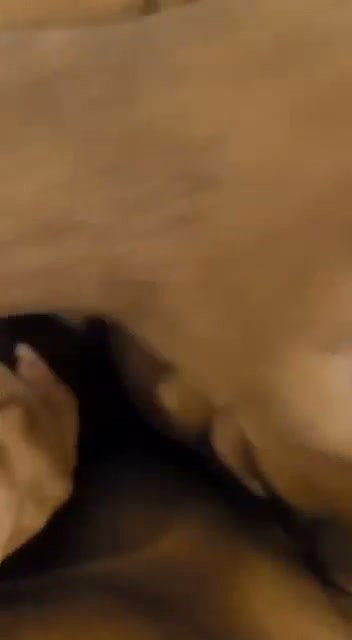 Horny Wife Blowjob (2)2