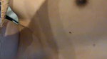 Hotel Desi Newly Married Wife Bold Cock suck (2)2