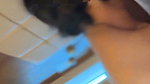Hotel Desi Newly Married Wife Bold Cock suck (2)2