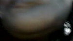 South Indian Wife Naughty Sucks and Pleasured (2)2