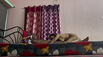 Tamil Couple Hard Fucking With Lover 3 (2)2