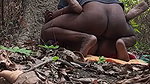 Couple caught having sex in the forest