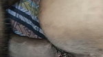 Indian Desi Beautiful GF tight pussy, Desi college students sex video fucking hard