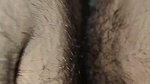 Indian Desi Beautiful GF tight pussy, Desi college students sex video fucking hard