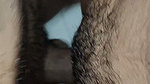 Indian Desi Beautiful GF tight pussy, Desi college students sex video fucking hard