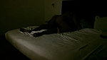 Licking my girlfriend hard Squirting fucking doggy style and she rides very hard