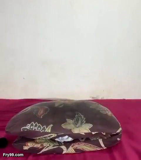My Young Indian Kitty Wife Showing Her Pussy Massage and Fingring in Ass with Lovense Full Horney