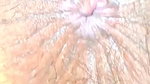 Bangladeshi Bangali Hindu boudi pussy I want to make my pussy bigger so that two cocks can fit inside at once
