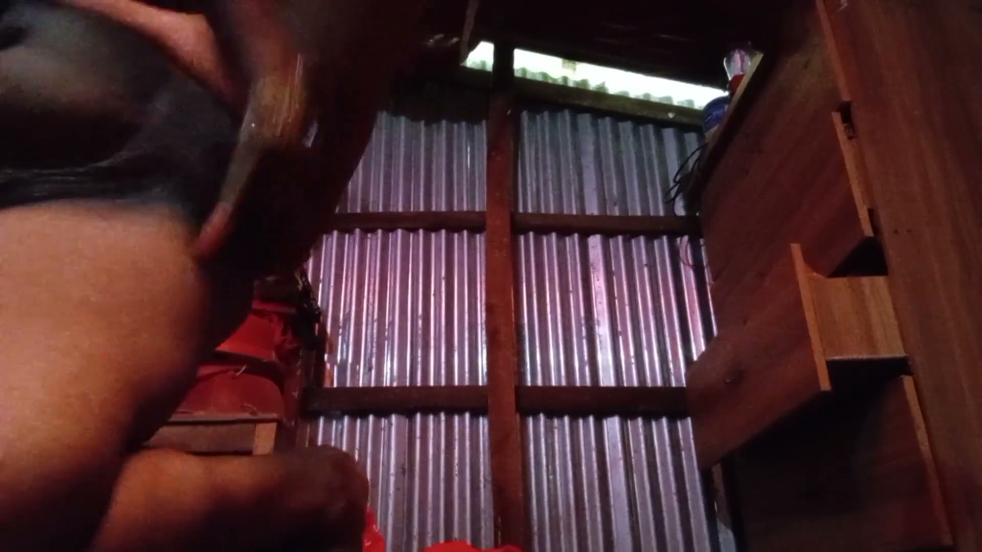 Frame 9