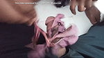 Indian home made beautiful Lady cocking time sex video enjoying sex video