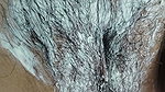 Desi Bhabhi’s Clean Hair Pussy