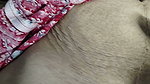 Desi Bhabhi’s Clean Hair Pussy