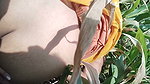 I Fucked My Stepsister in Law in the Corn Field