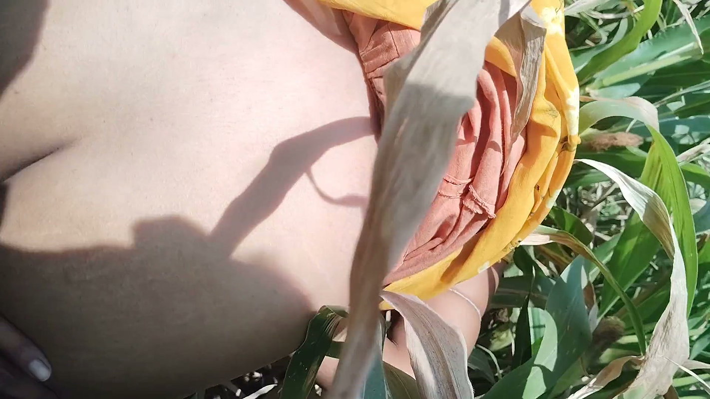I Fucked My Stepsister in Law in the Corn Field