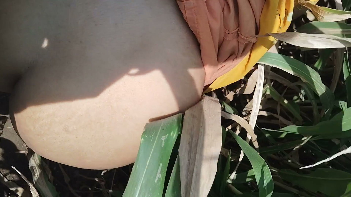 I Fucked My Stepsister in Law in the Corn Field