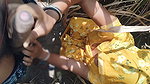 I Fucked My Stepsister in Law in the Corn Field
