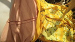 I Fucked My Stepsister in Law in the Corn Field