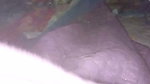 I Fucked the Desigirl by Making Her Sit on My Cock
