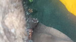 Indian Bhabhi Desi Sex Hindi