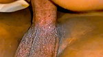 Aniket Gave Sanjana the Pleasure of His Cock in Her Mouth