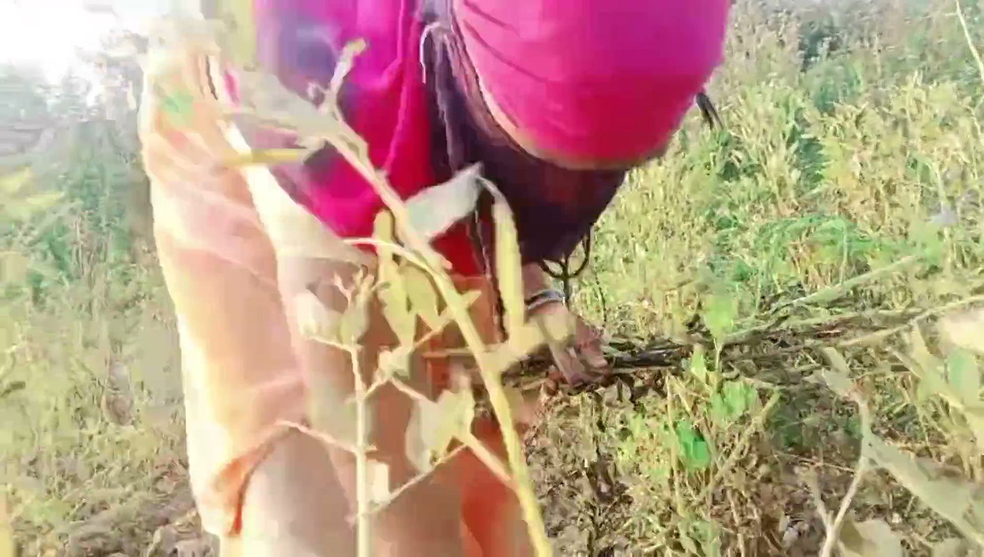 Desi Bhabhi Fucked While Working in the Field