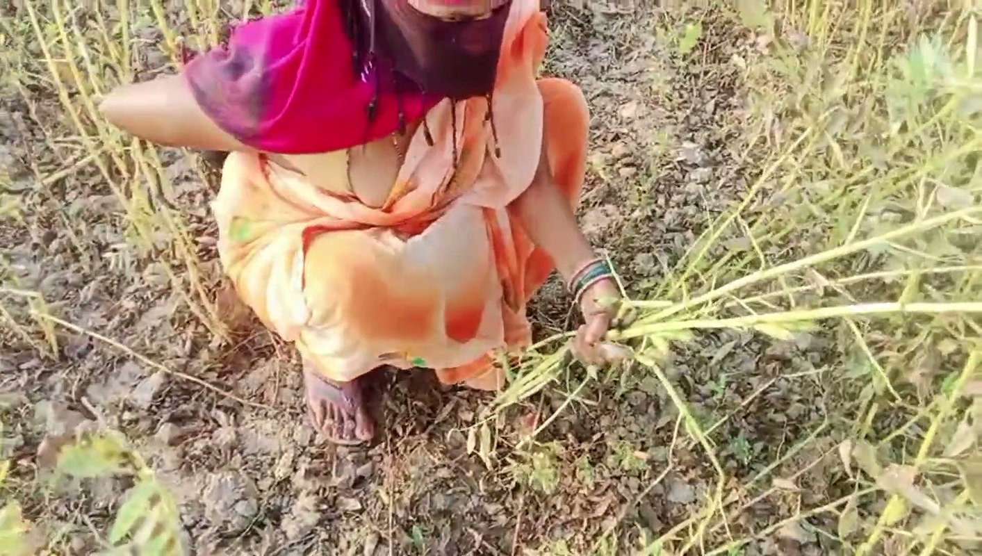 Desi Bhabhi Fucked While Working in the Field