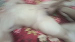 Desi Girl Hardcore Fingering Fucking with Lover Hindi Audio