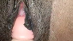 Desi Pussy