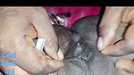 Desi Tamil Husband Wife Clean Shave After Fuking Homemade Video