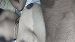 Friends Big Boobs Stepmom