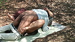 Hot Fuck in Forest