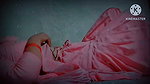 Hot Queen Girl Mms Video Pinky Hot Pussy Very Aroused Wet Hot Beautiful Sexy Pussy Teenage Hot Sexy Girl Very Aroused Hot Pussy
