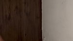 I Fucked My Neighbor’s Wife