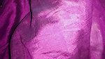 I Saw the Pussy of Stepsister, Indian Sex Video