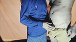 Indian Deshi Village Ki Bangla Chudai Videos