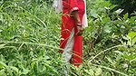 Lal Shut Madam Fucking in Forest with Fubret Student