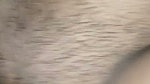 Pussy fucking Indian Style