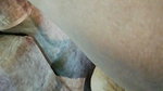 Sex with Wife