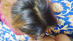 Sloppy Blowjob and Hardcore Fucked Desi Indian Village Bhai Ko Lund Dia Fast Sex Load Moaning