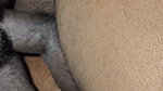 Today Best Blowjob and Hard Fuking