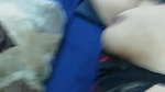Wife’s Ass Fucked