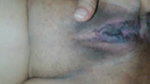 Wild Sex