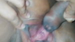 Wild Sex