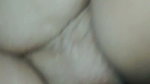 Wild Sex
