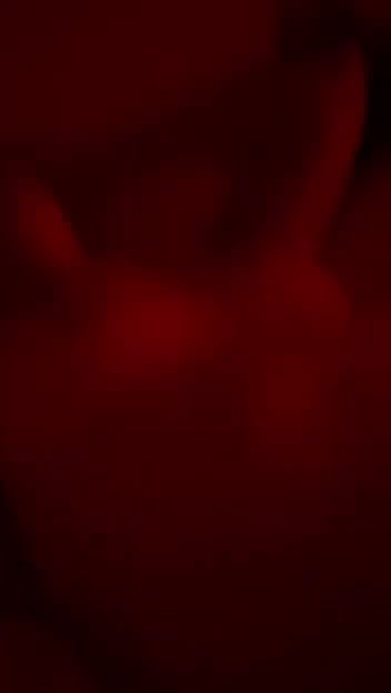 G__4_(1)