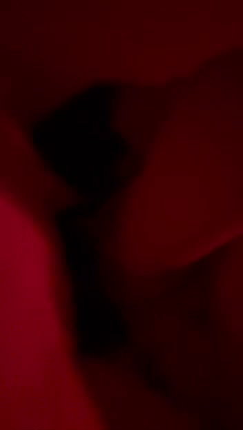 G__4_(1)