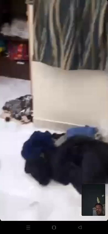 GF__1_(1)