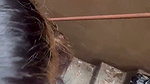 Indian Slut BABE Public Blowjob (2)2