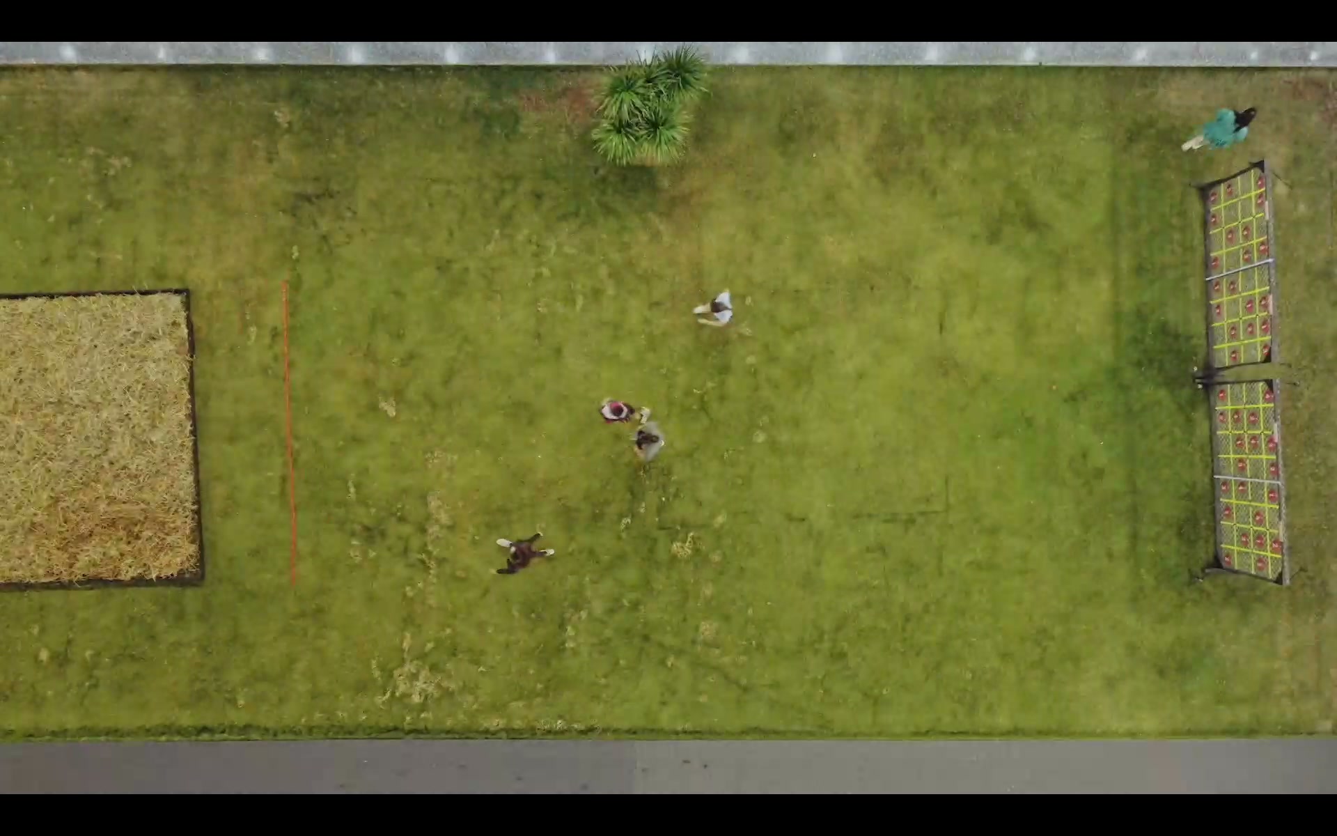 Frame 1